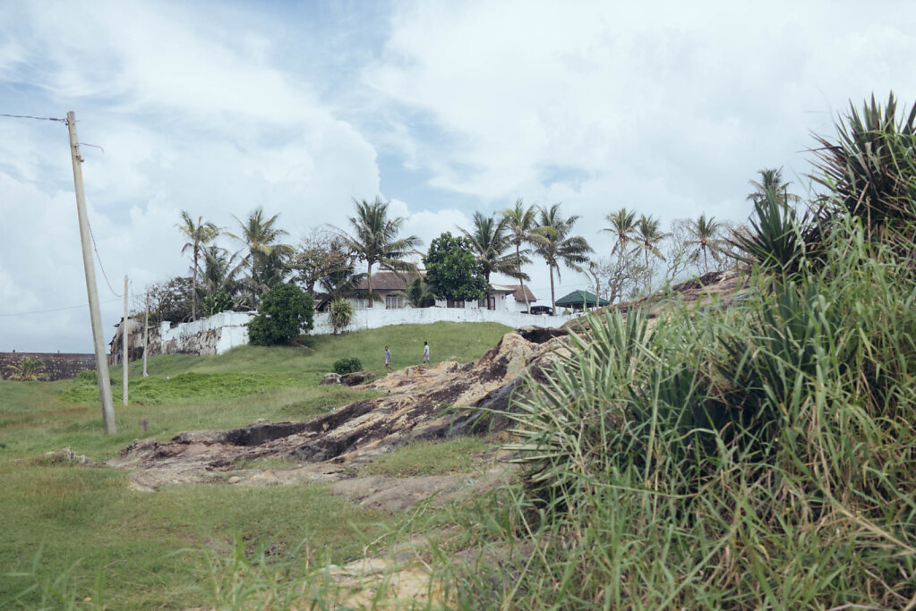 181201-RX1-1210-LKA05459-EDIT.jpg