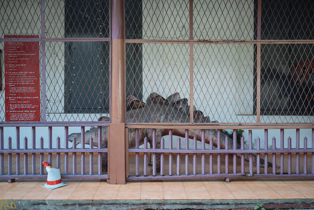 181202-RX1-1500-LKA05671-EDIT.jpg
