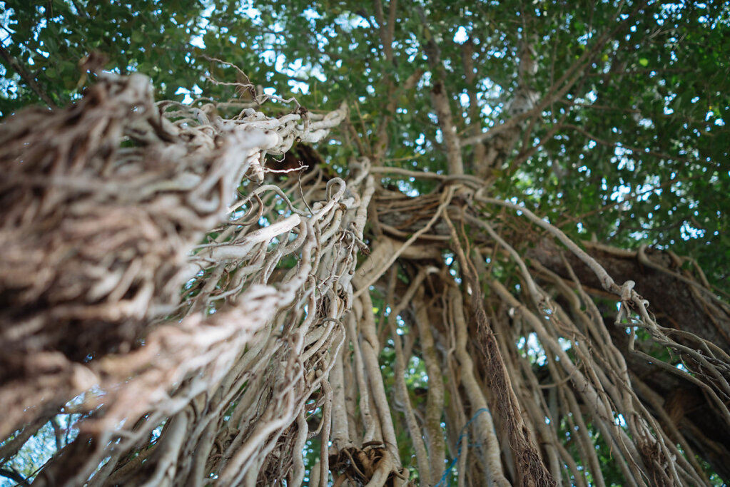 181202-RX1-1553-LKA05719-EDIT.jpg