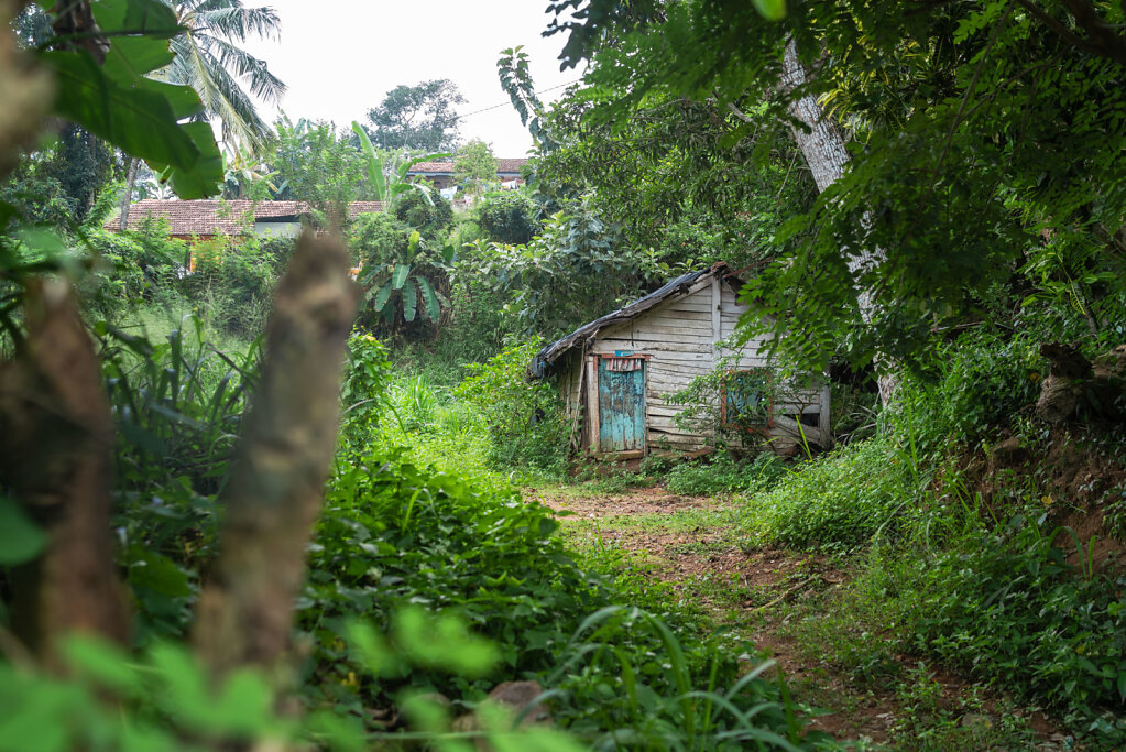 181211-RX1-1435-LKA6788-EDIT.jpg