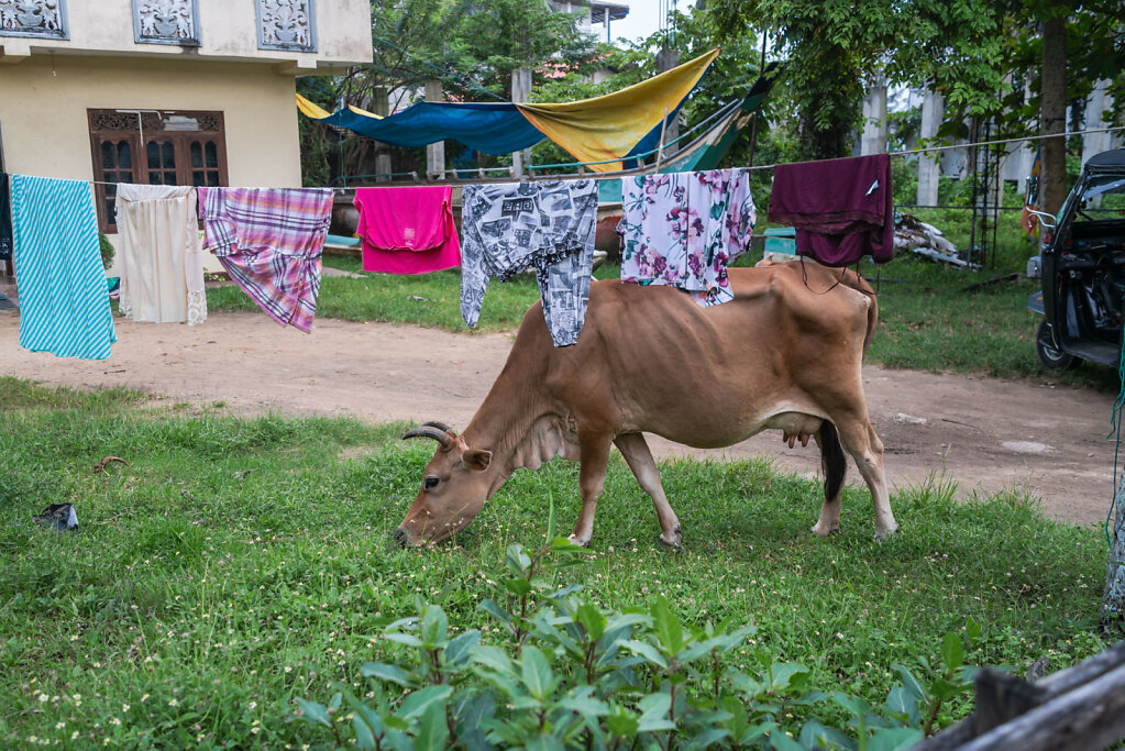181210-RX1-1719-LKA6629-EDIT.jpg