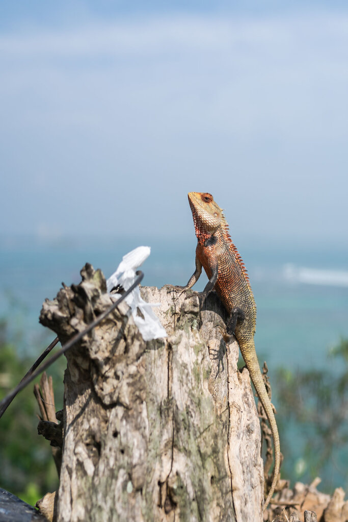 181210-RX1-1336-LKA06408-EDIT.jpg