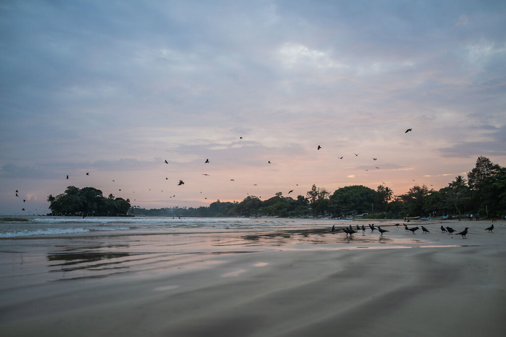 181208-RX1-1742-LKA06037-EDIT.jpg