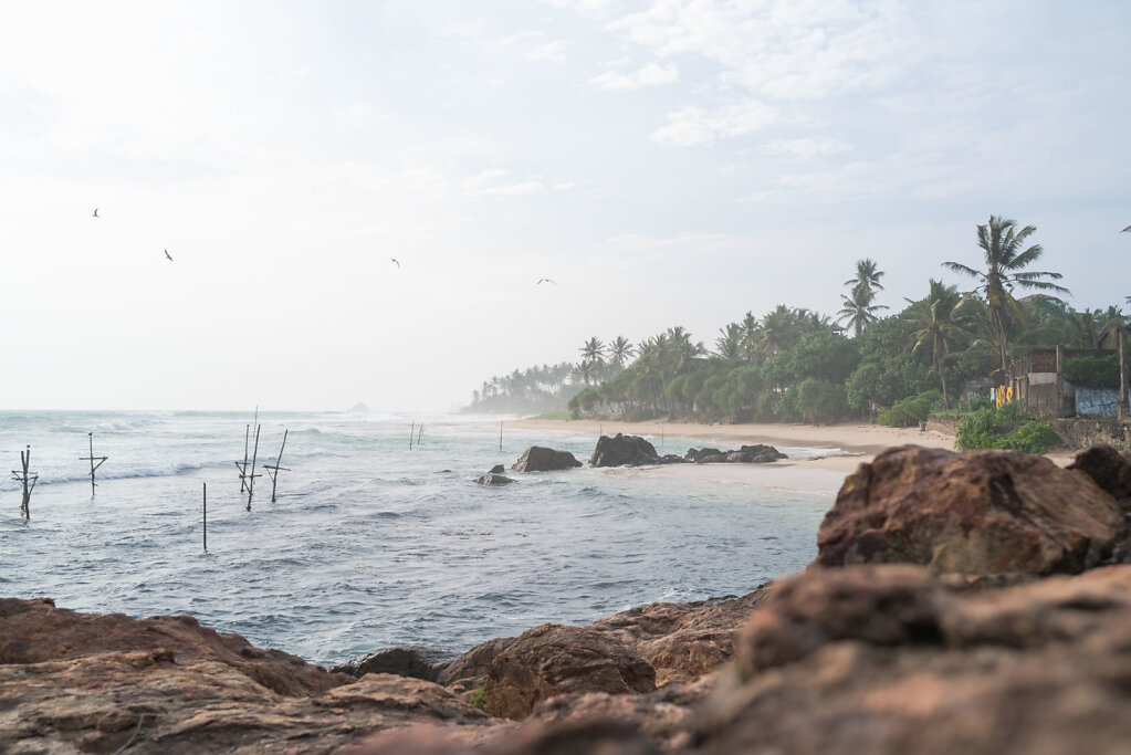 181210-RX1-1604-LKA6554-EDIT.jpg