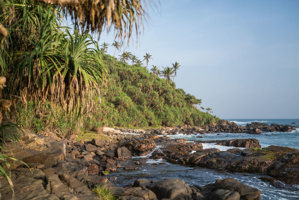 181215-RX1-1649-LKA6958-EDIT.jpg