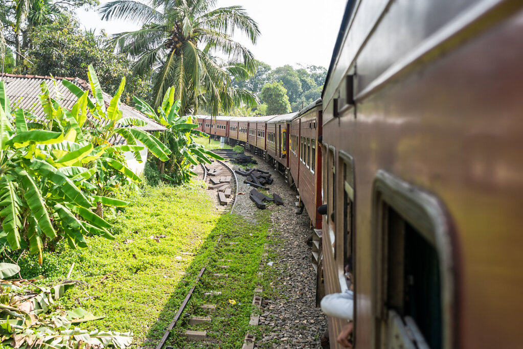181228-RX1-1418-LKA7861-EDIT.jpg