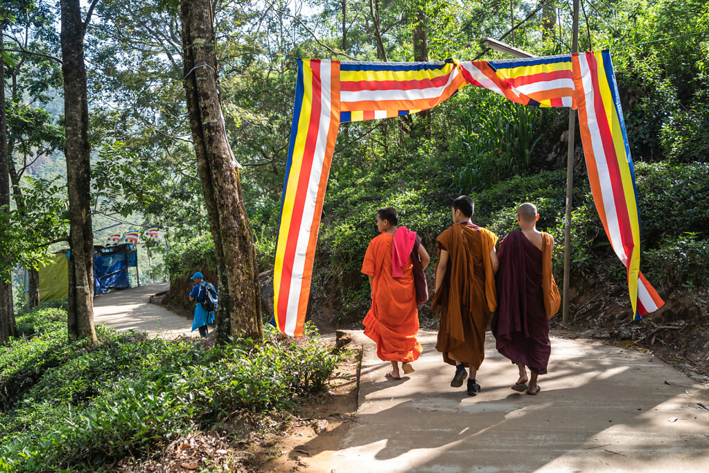 190103-RX1-0915-LKA9755-EDIT.jpg