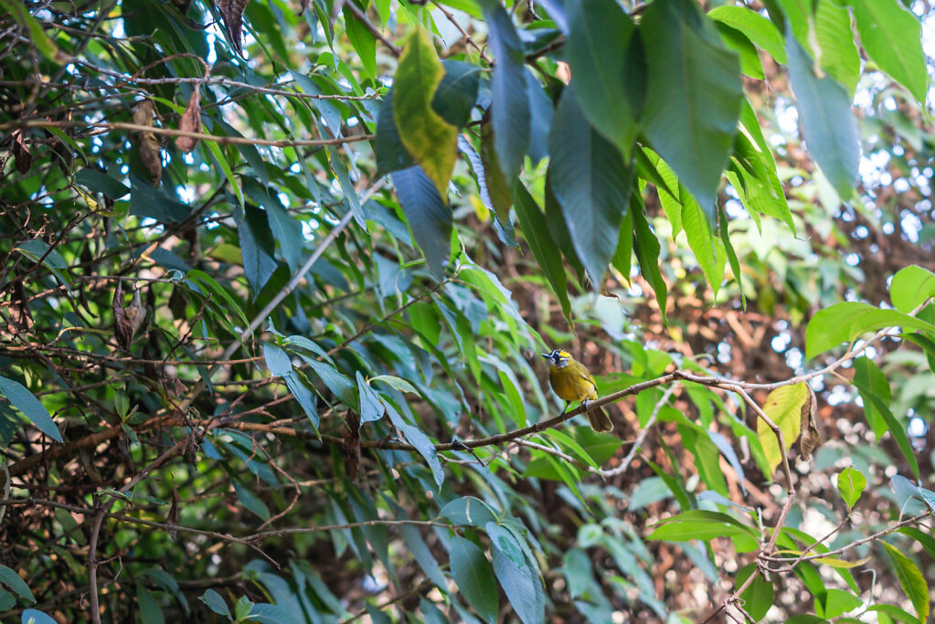 190103-RX1-0811-LKA9694-EDIT.jpg