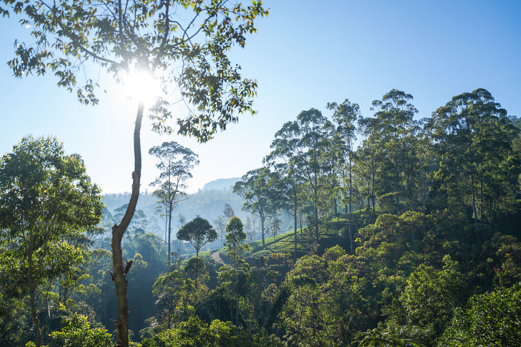 190104-RX1-0735-LKA9775-EDIT.jpg