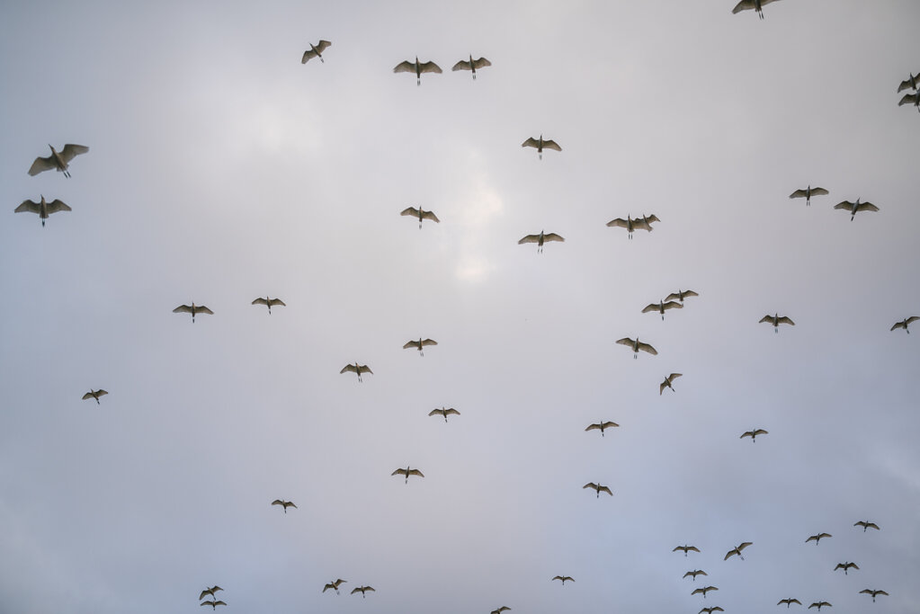190105-RX1-1733-LKA0102-EDIT.jpg