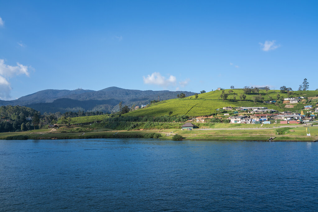 190106-RX1-1606-LKA0194-EDIT.jpg