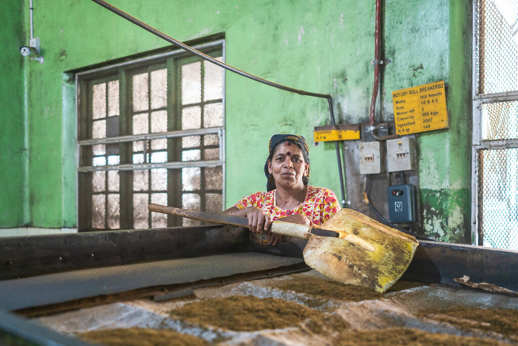 190107-RX1-1247-LKA0325-EDIT.jpg