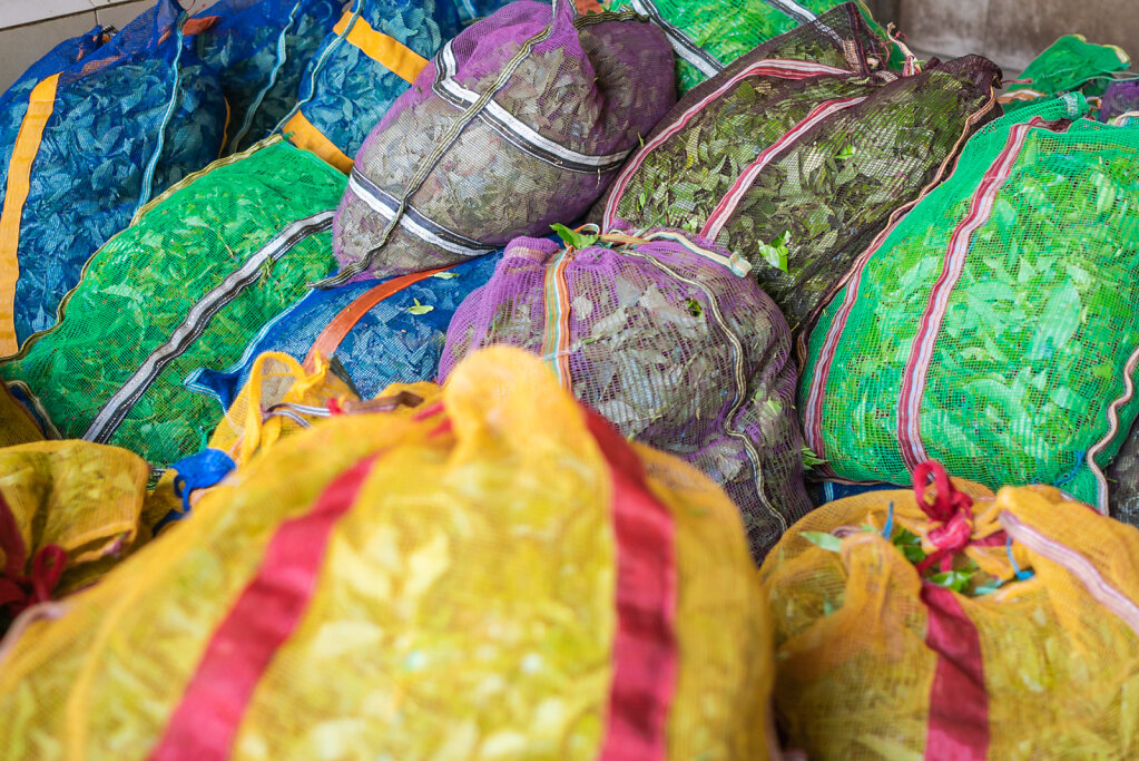 190107-RX1-1233-LKA0278-EDIT.jpg