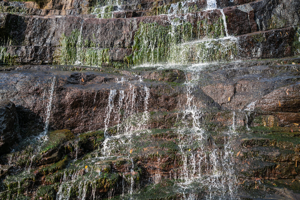 190109-RX1-1635-LKA0506-EDIT.jpg
