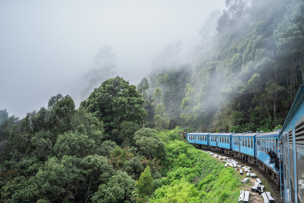 190110-RX1-1554-LKA0918-EDIT.jpg