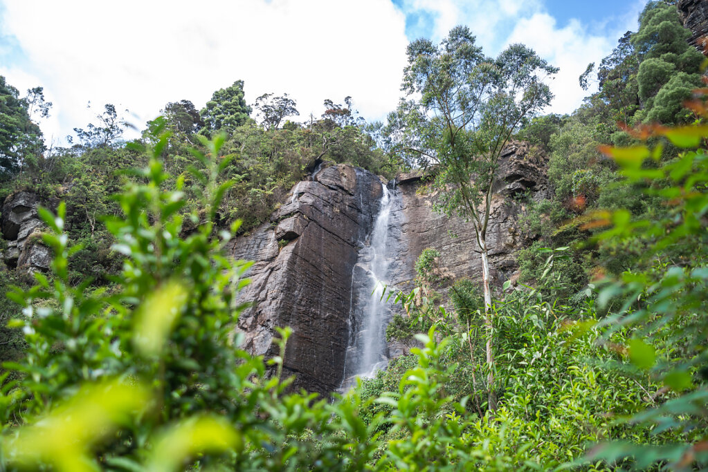 190110-RX1-1251-LKA0789-EDIT.jpg