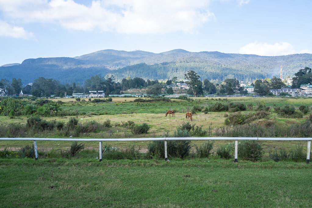 190104-RX1-1554-LKA9984-EDIT.jpg
