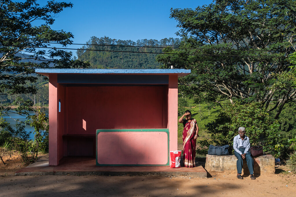 190104-RX1-0835-LKA9820-EDIT.jpg