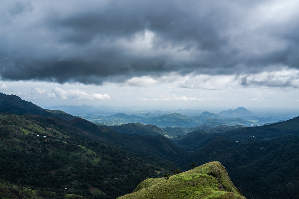 190114-RX1-1333-LKA1291-EDIT.jpg