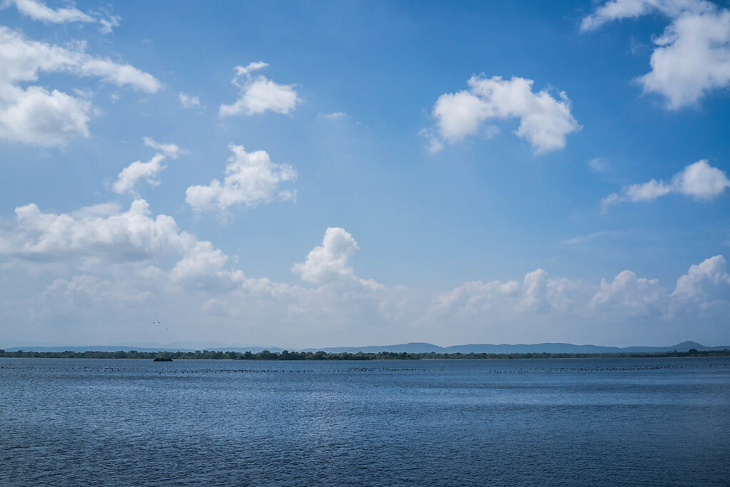 190116-RX1-1304-LKA1459-EDIT.jpg
