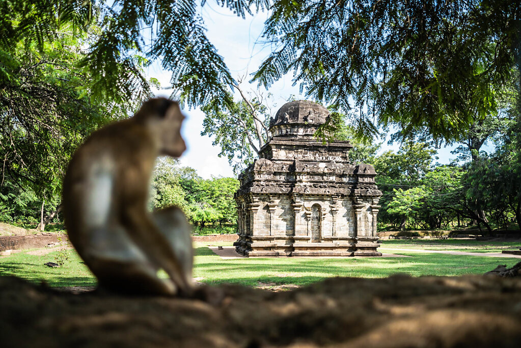 190116-RX1-1512-LKA1614-EDIT.jpg