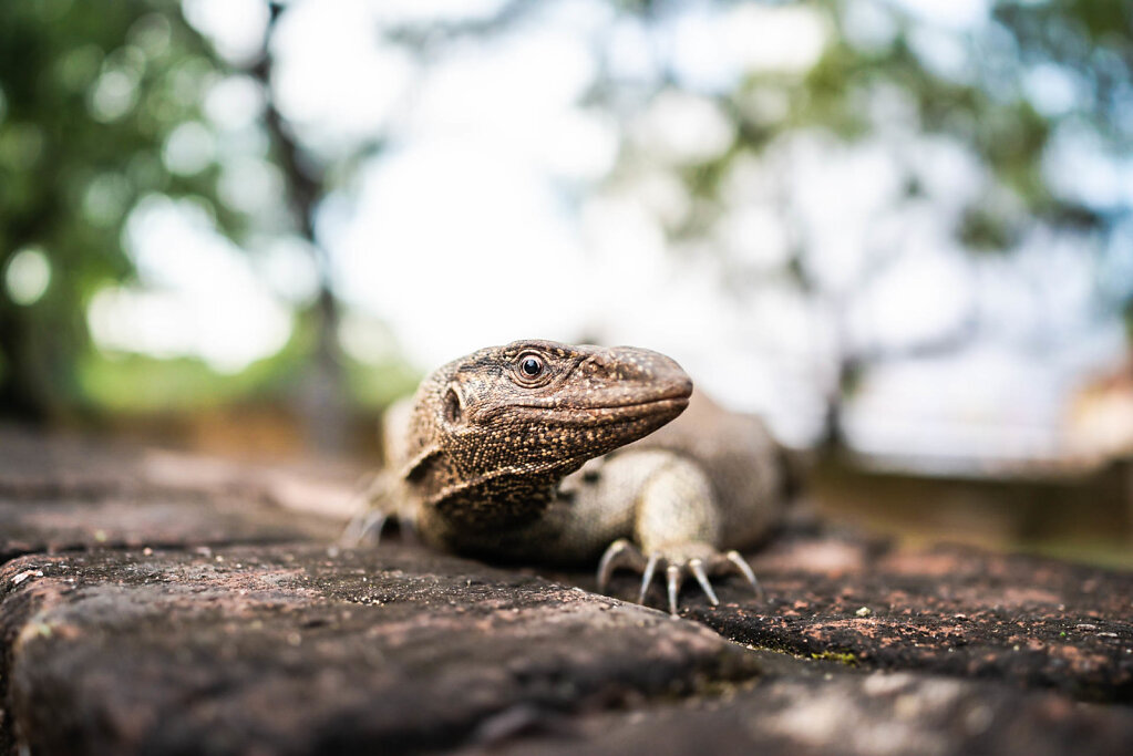 190116-RX1-1651-LKA1857-EDIT.jpg