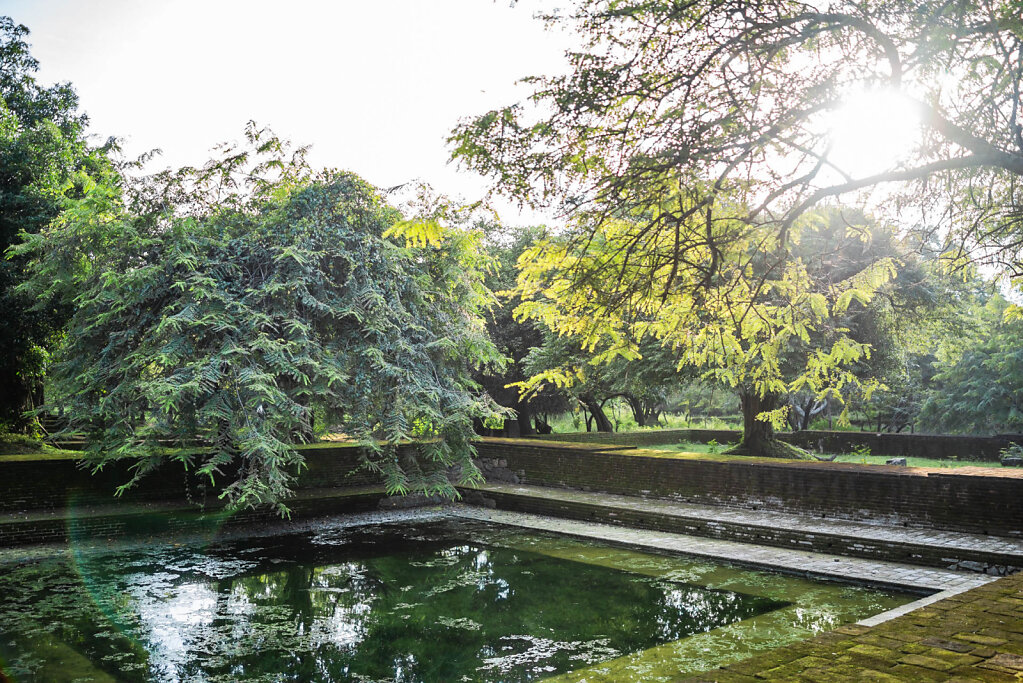 190116-RX1-1700-LKA1876-EDIT.jpg