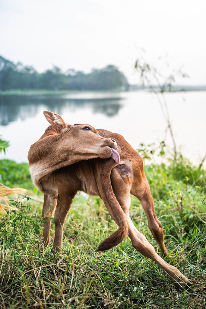 190118-RX1-1759-LKA2384-EDIT.jpg