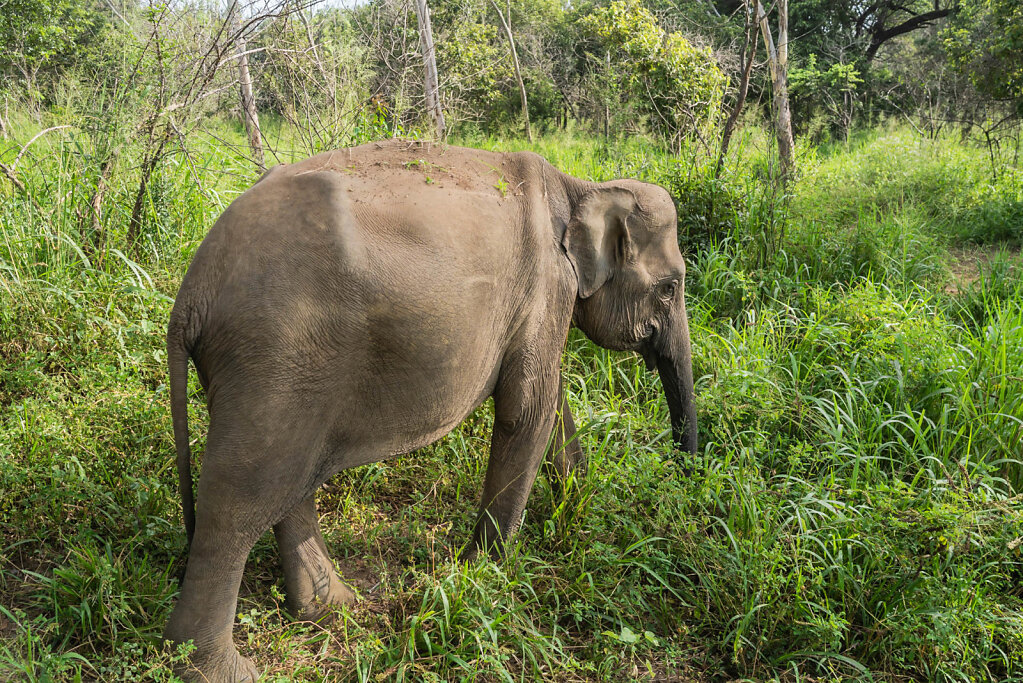 190119-RX1-1527-LKA2735-EDIT.jpg