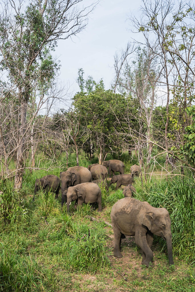 190119-RX1-1535-LKA2764-EDIT.jpg