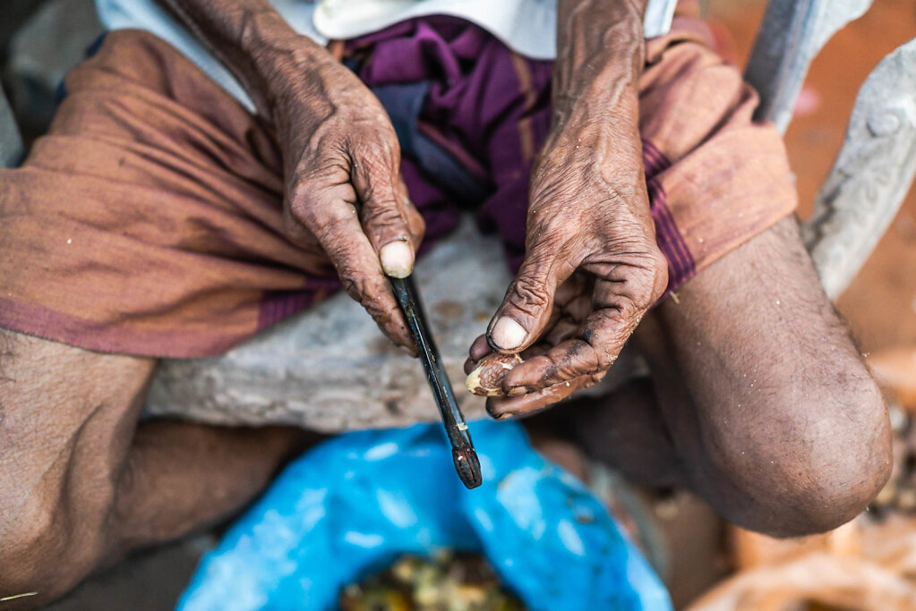 190119-RX1-1800-LKA2908-EDIT.jpg