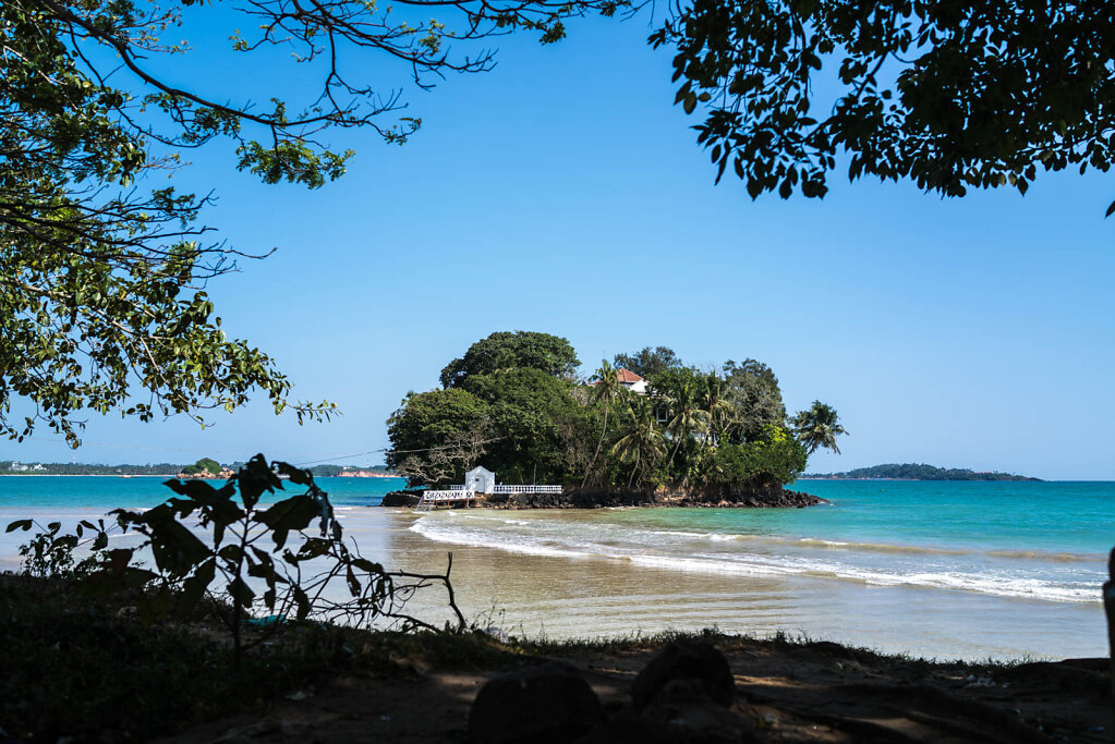 190129-RX1-1430-LKA3451-EDIT.jpg