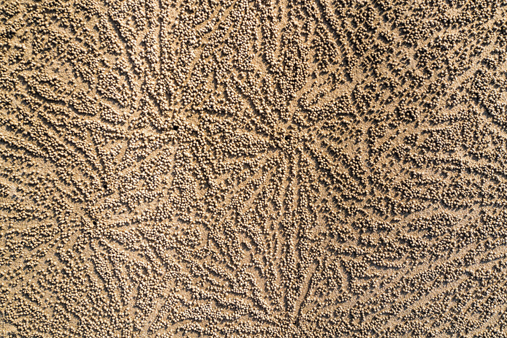 190129-RX1-1617-LKA3490-EDIT.jpg