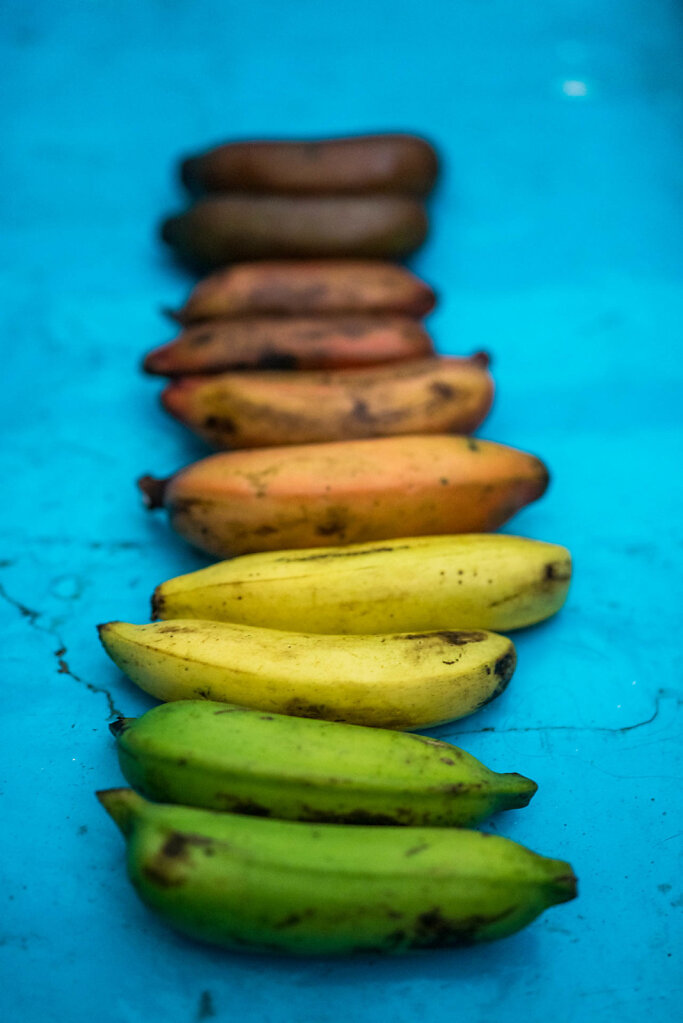 190131-RX1-1354-LKA3746-EDIT.jpg