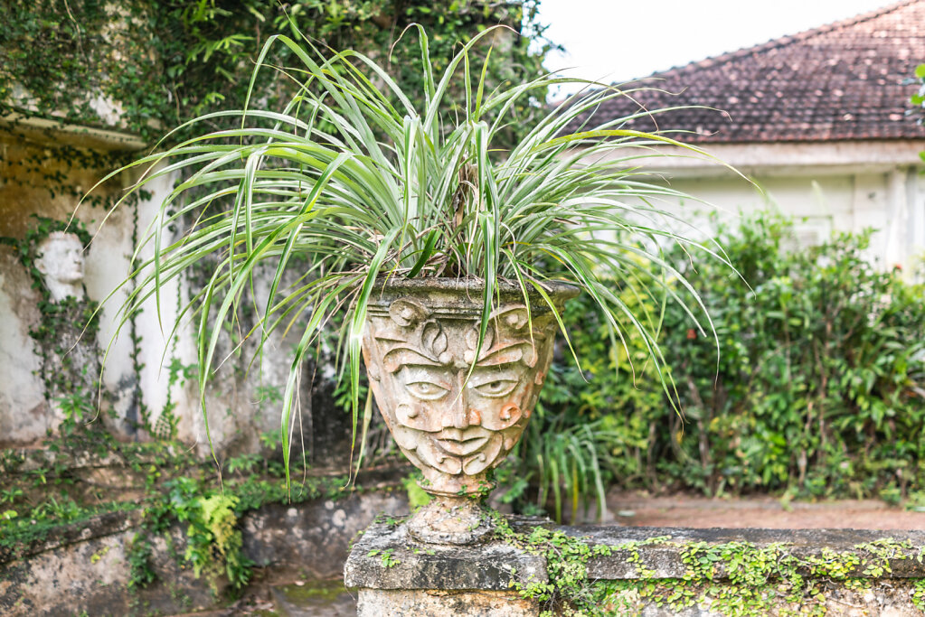 181126-RX1-1501-LKA04971-EDIT.jpg