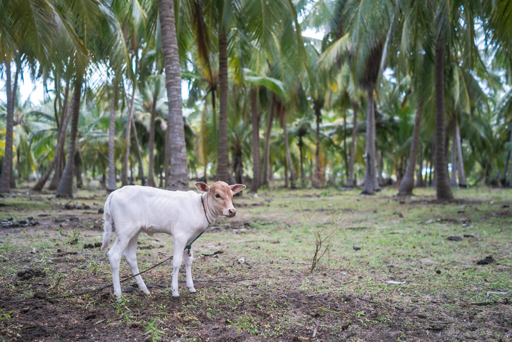 190204-RX1-1810-LKA4193-EDIT.jpg