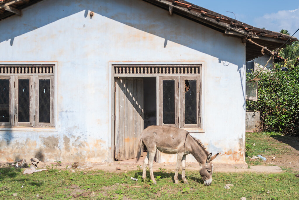 190202-RX1-1438-LKA3867-EDIT.jpg