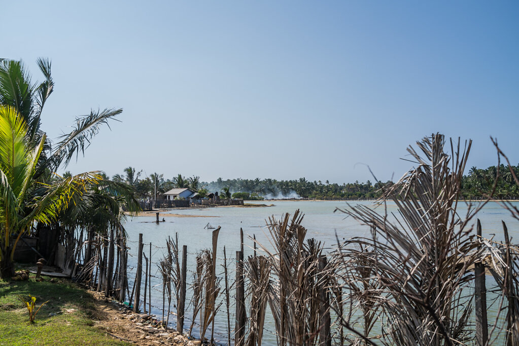 190202-RX1-1441-LKA3873-EDIT.jpg