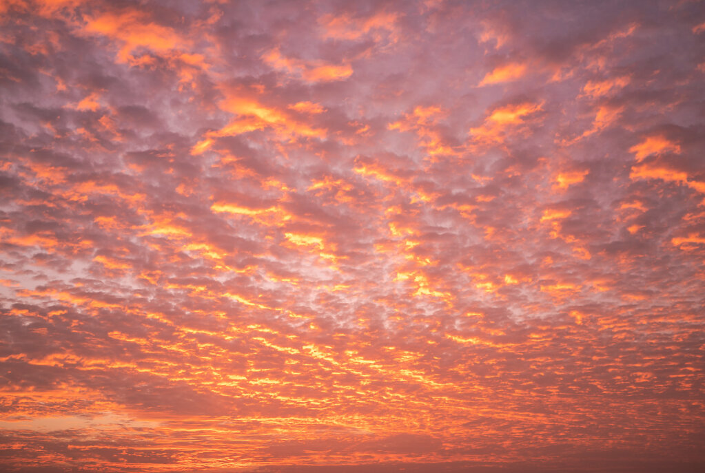 190207-RX1-1821-LKA4269-EDIT.jpg