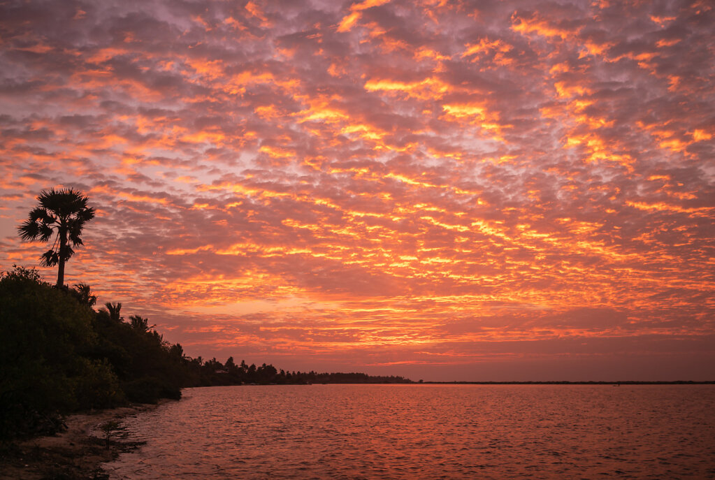 190207-RX1-1821-LKA4263-EDIT.jpg