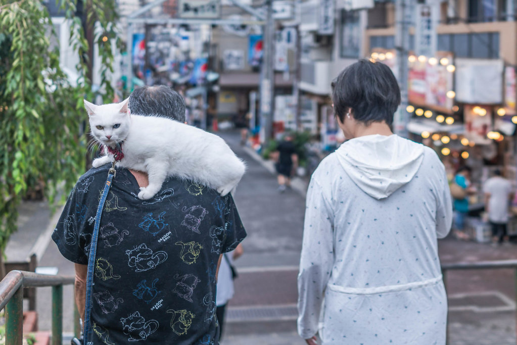 190916-RX1-1452-JPN7435-EDIT.jpg