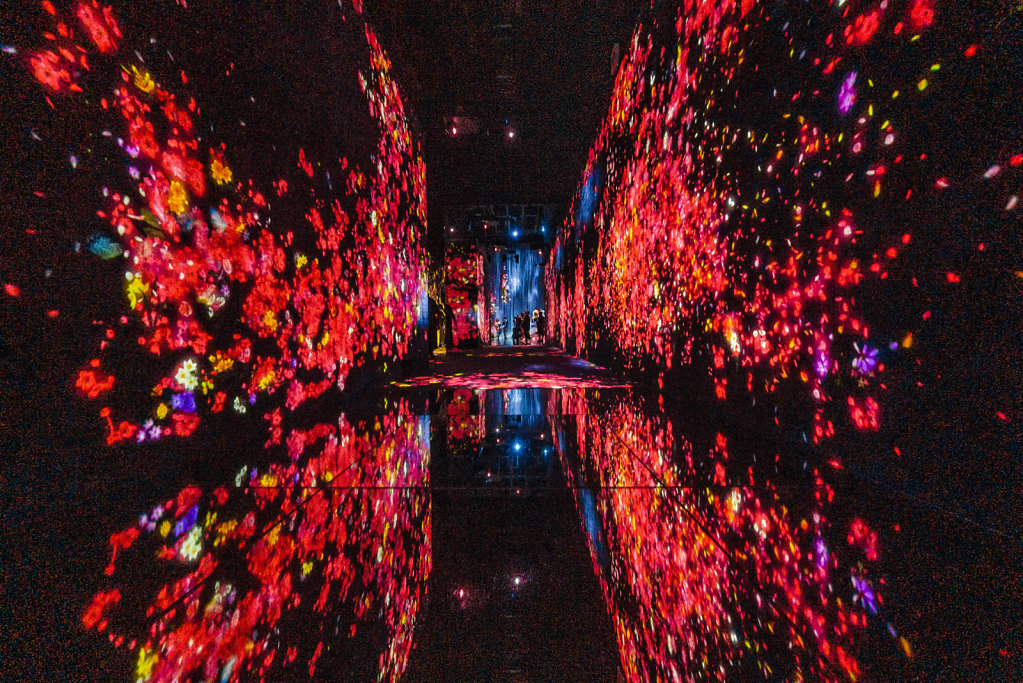 190914-DJI-1410-JPN0755-EDIT.jpg