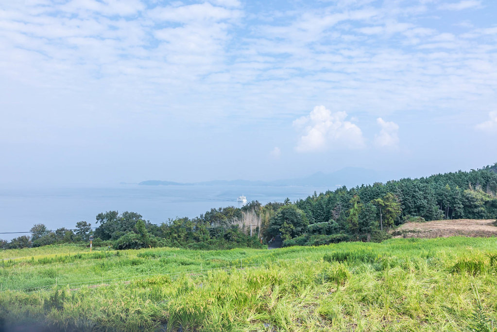 190930-RX1-1332-JPN8967-EDIT.jpg