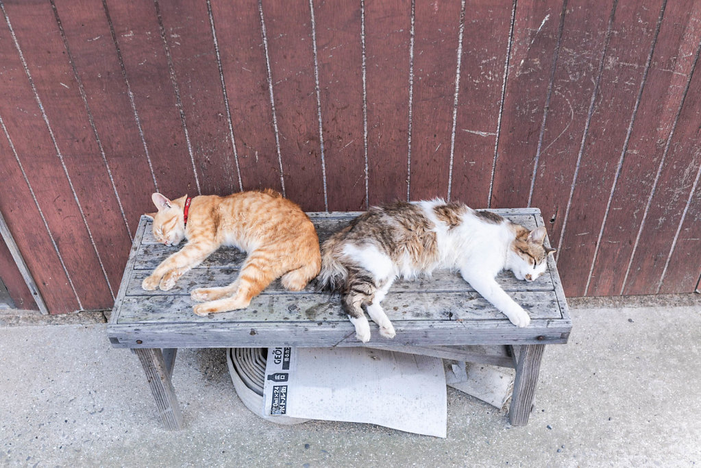 190930-RX1-1307-JPN8936-EDIT.jpg