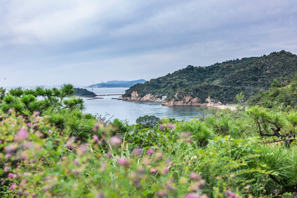 190929-RX1-1343-JPN8760-EDIT.jpg