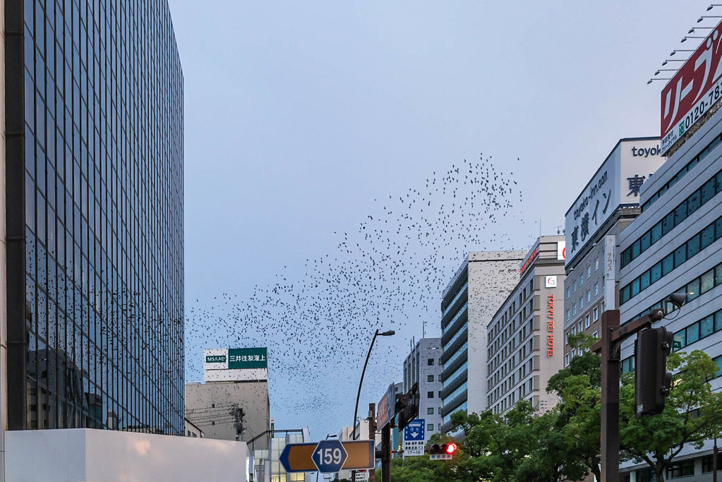 190928-RX1-1748-JPN8556-EDIT.jpg