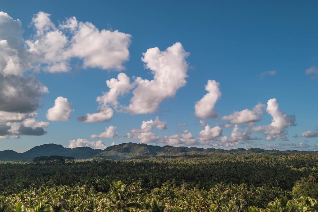 191006-RX1-1517-PHL9319-EDIT.jpg