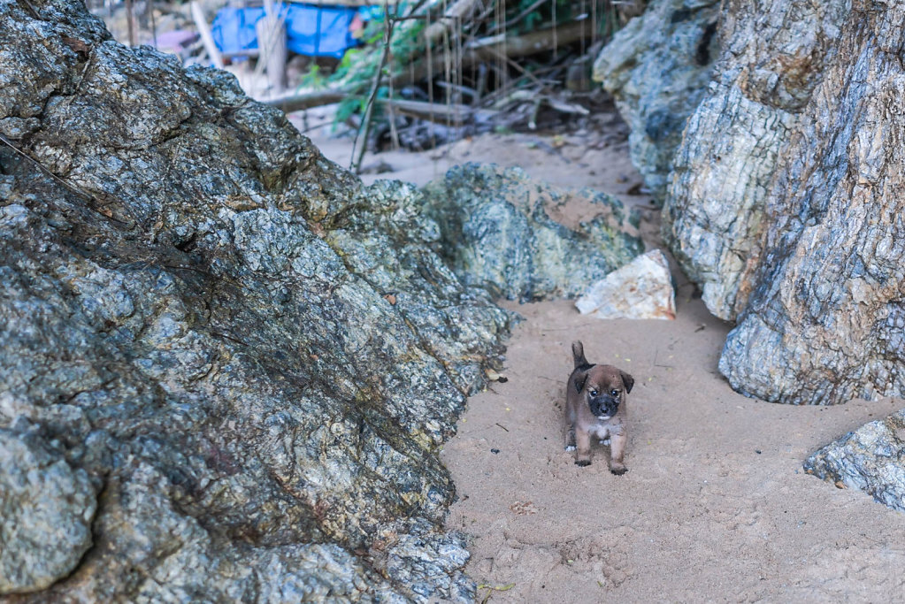 191020-RX1-1643-PHL0279-EDIT.jpg