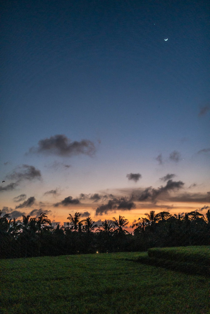 191031-RX1-1835-IDN0746-EDIT.jpg