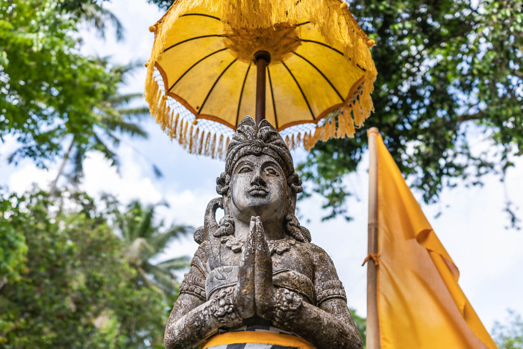 191101-RX1-1417-IDN0931-EDIT.jpg